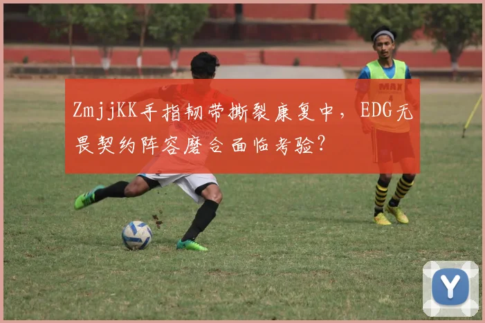 ZmjjKK手指韧带撕裂康复中，EDG无畏契约阵容磨合面临考验？