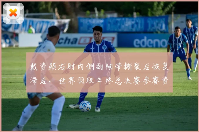 戴资颖右肘内侧副韧带撕裂后恢复滞后，世界羽联年终总决赛参赛资格悬了