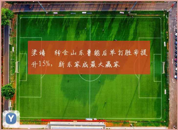 梁靖崑转会山东鲁能后单打胜率提升15%,新东家成最大赢家